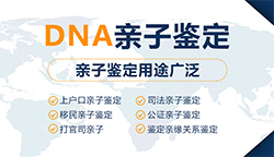 贵港上学亲子鉴定如何办理，贵港升学DNA鉴定机构在哪里有